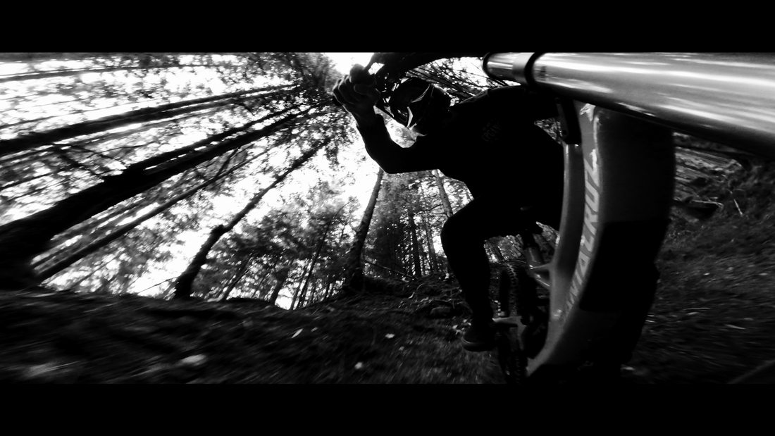 Rider through the trees, black and white